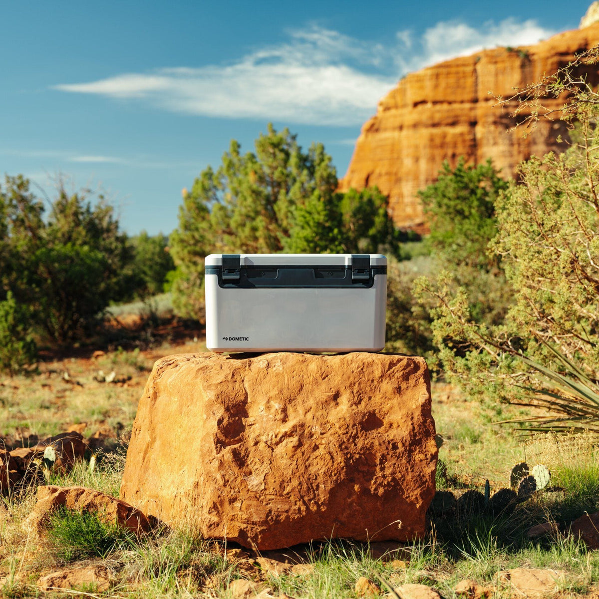 Recon Hardside Cooler